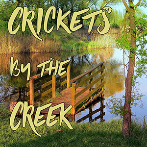 crickets near the creek