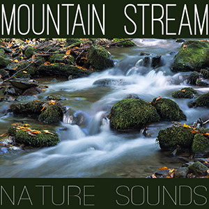 Mountain stream