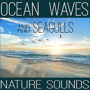 ocean waves, seagulls